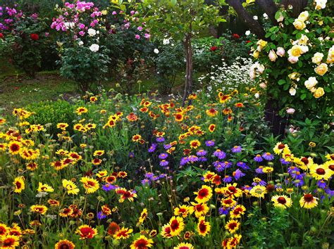 O Jardim de Flores do Tempo - Uma Exploração Vibrantes Cores e Texturas Fascinantes!